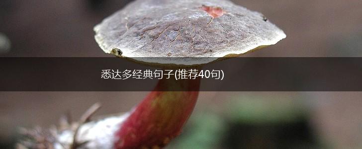 悉达多经典句子(推荐40句),第1张