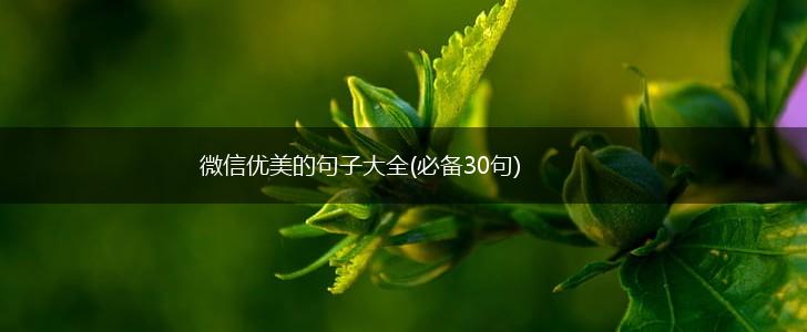 微信优美的句子大全(必备30句),第1张