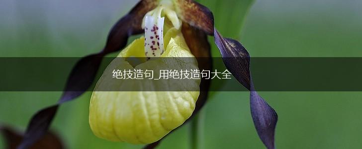 绝技造句_用绝技造句大全,第1张 绝技造句_用绝技造句大全,第1张