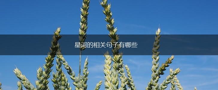 星河的相关句子有哪些,第1张 星河的相关句子有哪些,第1张