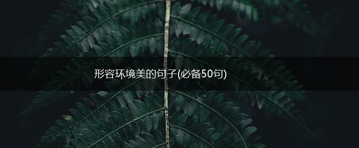 形容环境美的句子(必备50句),第1张