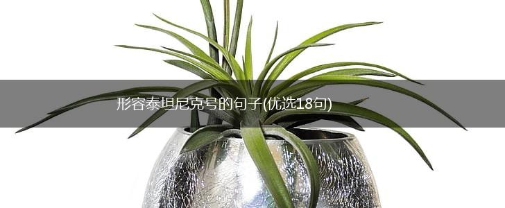 形容泰坦尼克号的句子(优选18句),第1张