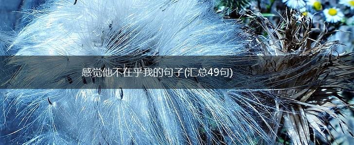 感觉他不在乎我的句子(汇总49句),第1张