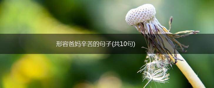 形容爸妈辛苦的句子(共10句),第1张