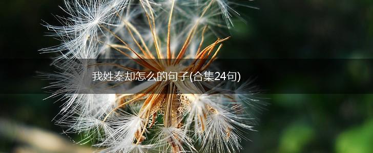 我姓秦却怎么的句子(合集24句),第1张