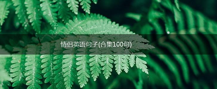 情侣英语句子(合集100句),第1张