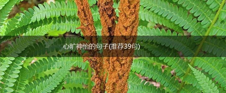 心旷神怡的句子(推荐39句),第1张