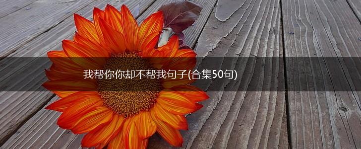 我帮你你却不帮我句子(合集50句),第1张