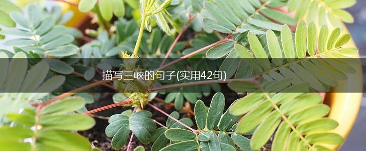 描写三峡的句子(实用42句),第1张