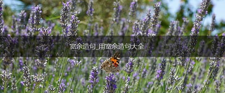 宽余造句_用宽余造句大全,第1张 宽余造句_用宽余造句大全,第1张