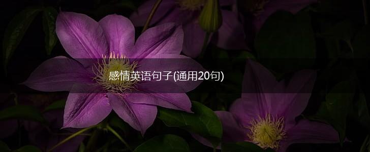 感情英语句子(通用20句),第1张