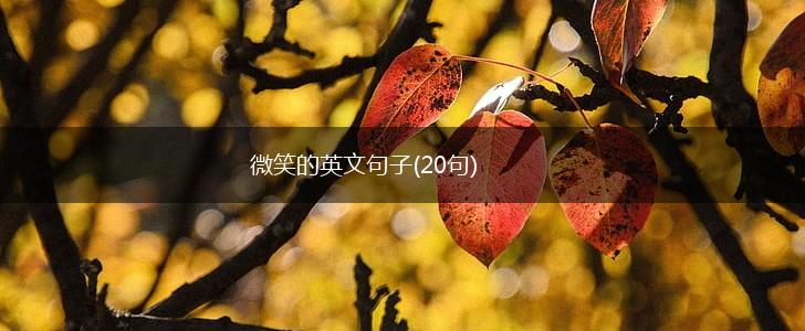 微笑的英文句子(20句),第1张