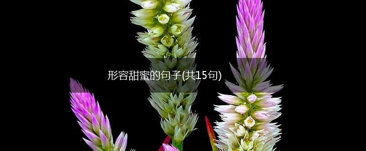 形容甜蜜的句子(共15句),第1张
