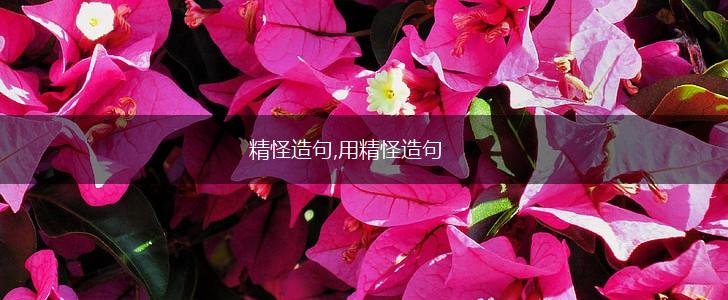 精怪造句,用精怪造句,第1张 精怪造句,用精怪造句,第1张