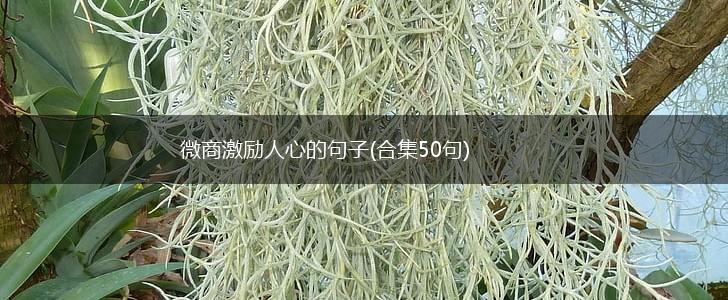 微商激励人心的句子(合集50句),第1张