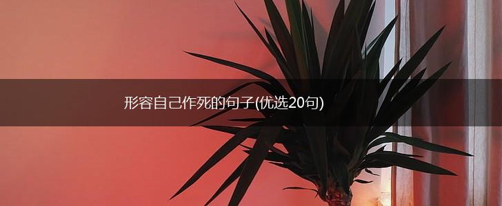 形容自己作死的句子(优选20句),第1张