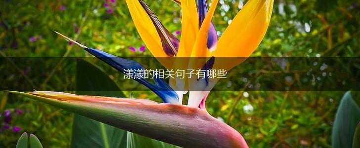 漾漾的相关句子有哪些,第1张 漾漾的相关句子有哪些,第1张