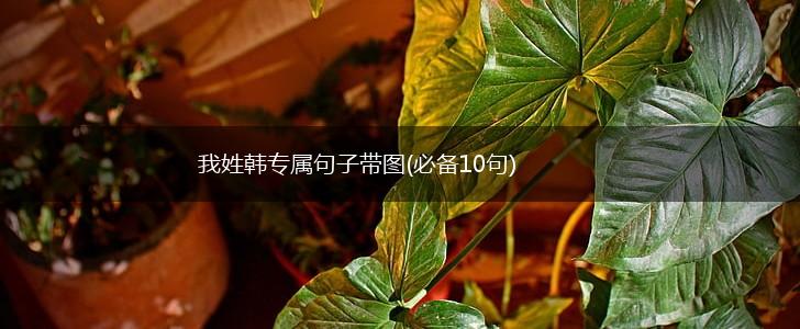 我姓韩专属句子带图(必备10句),第1张