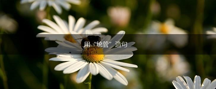 用“统管”造句,第1张 用“统管”造句,第1张