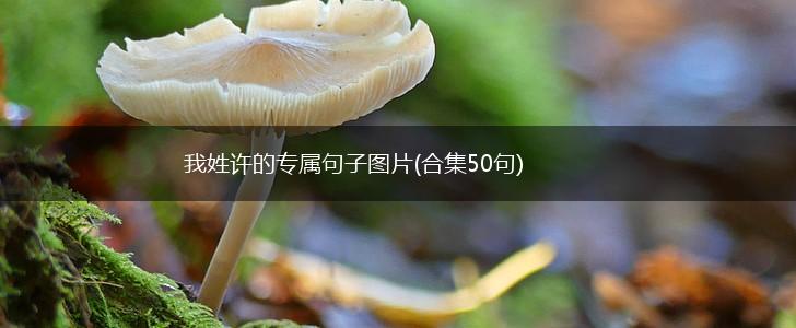 我姓许的专属句子图片(合集50句),第1张