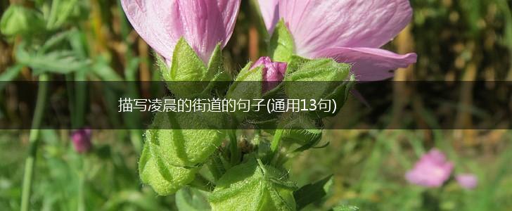 描写凌晨的街道的句子(通用13句),第1张
