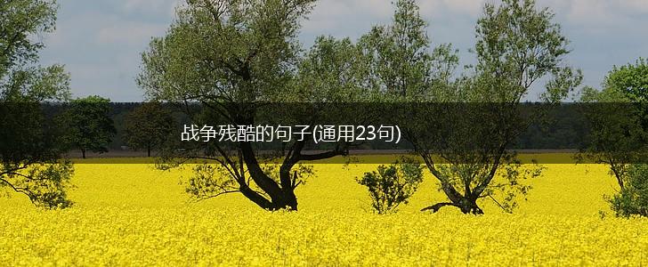 战争残酷的句子(通用23句),第1张