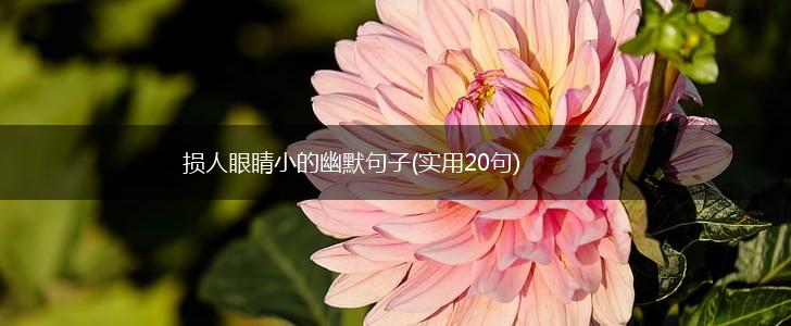 损人眼睛小的幽默句子(实用20句),第1张