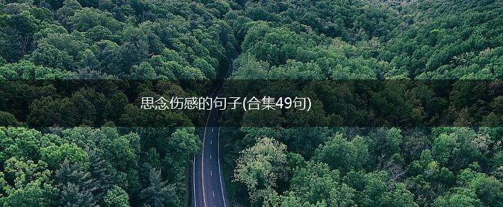 思念伤感的句子(合集49句),第1张