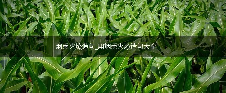 烟熏火燎造句_用烟熏火燎造句大全,第1张 烟熏火燎造句_用烟熏火燎造句大全,第1张