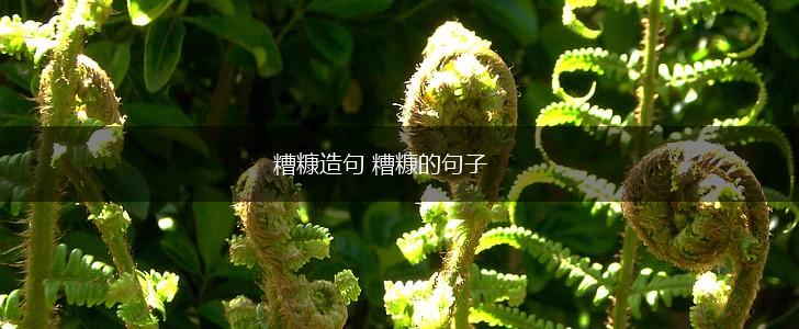 糟糠造句 糟糠的句子,第1张 糟糠造句 糟糠的句子,第1张