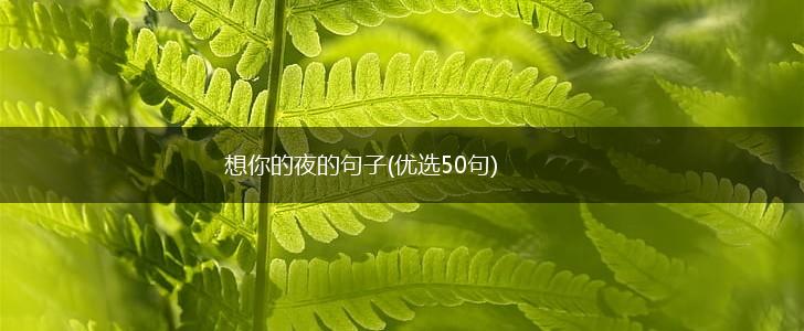 想你的夜的句子(优选50句),第1张
