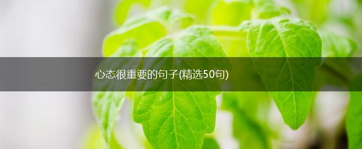 心态很重要的句子(精选50句),第1张