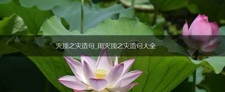 灭顶之灾造句_用灭顶之灾造句大全,第1张 灭顶之灾造句_用灭顶之灾造句大全,第1张