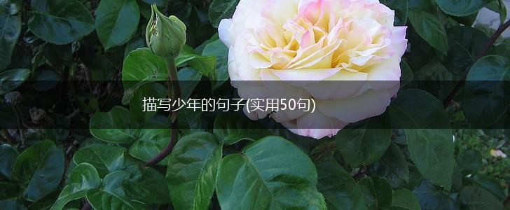 描写少年的句子(实用50句),第1张