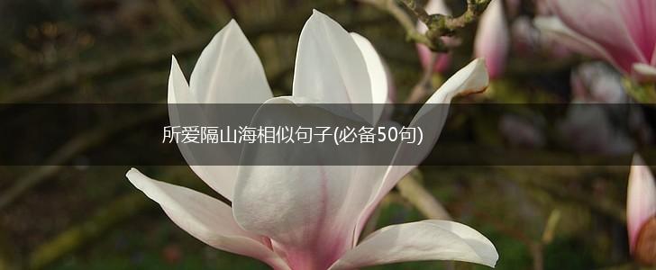 所爱隔山海相似句子(必备50句),第1张