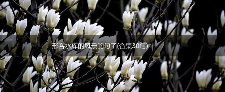 形容水库的风景的句子(合集30句),第1张