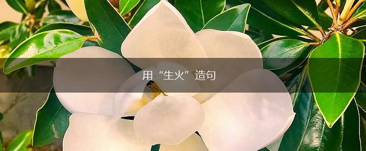 用“生火”造句,第1张