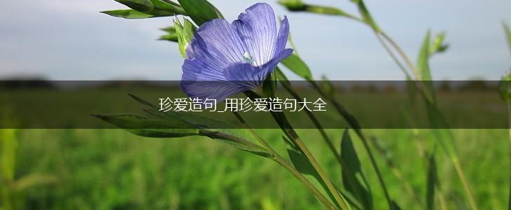 珍爱造句_用珍爱造句大全,第1张 珍爱造句_用珍爱造句大全,第1张