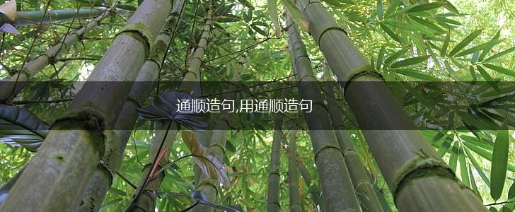 通顺造句,用通顺造句,第1张 通顺造句,用通顺造句,第1张