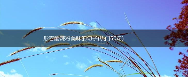 形容酸辣粉美味的句子(热门50句),第1张