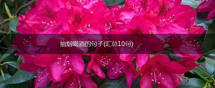 抽烟喝酒的句子(汇总10句),第1张