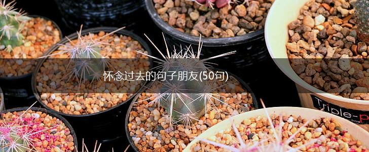 怀念过去的句子朋友(50句),第1张