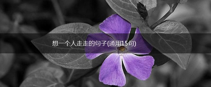 想一个人走走的句子(通用15句),第1张