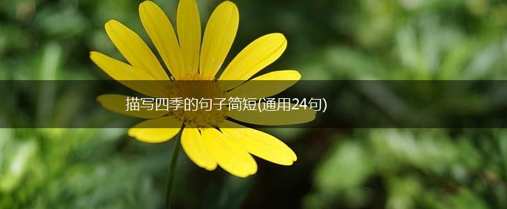 描写四季的句子简短(通用24句),第1张