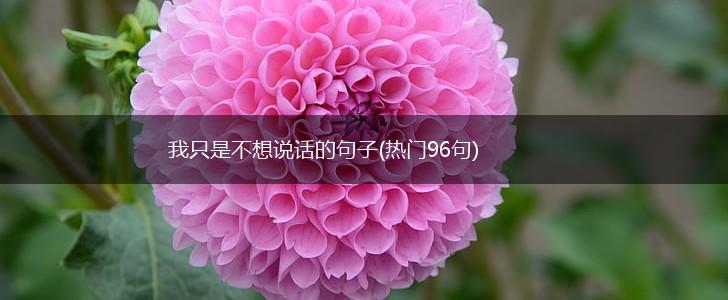 我只是不想说话的句子(热门96句),第1张