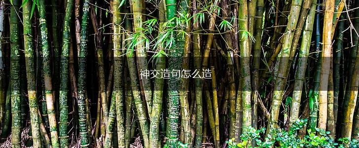 神交造句怎么造,第1张