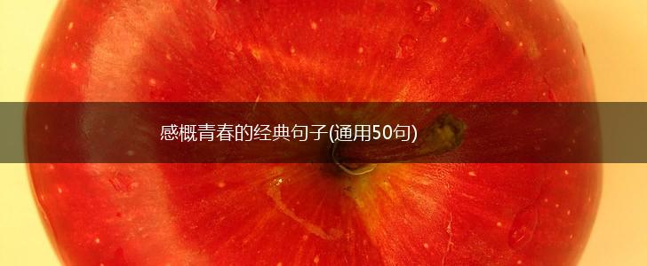 感概青春的经典句子(通用50句),第1张