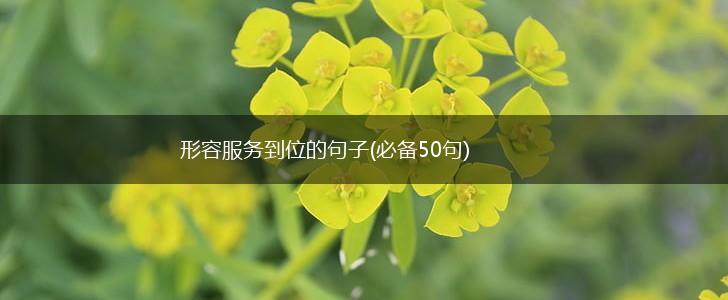 形容服务到位的句子(必备50句),第1张