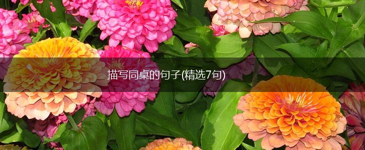 描写同桌的句子(精选7句),第1张