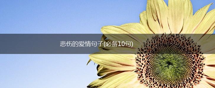 悲伤的爱情句子(必备10句),第1张